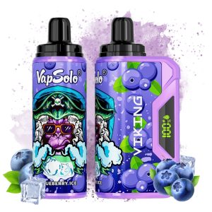 VapSolo 12000 Blueberry Ice Flavor