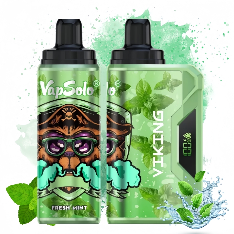 VapSolo 12000 Fresh Mint Geschmack