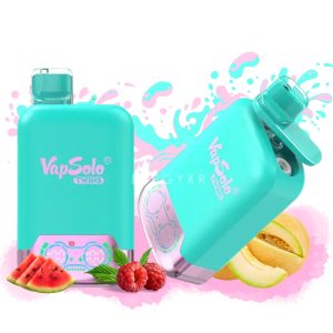 VapSolo Twins Triple Melon & Raspberry Watermelon Flavor