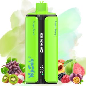 Vapsolo Quads 80000 Traube Burst-Litschi Eis-Pfirsich Beere-Kiwi Passionsfrucht Guave